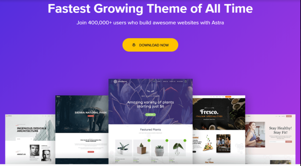 Astra WordPress Theme