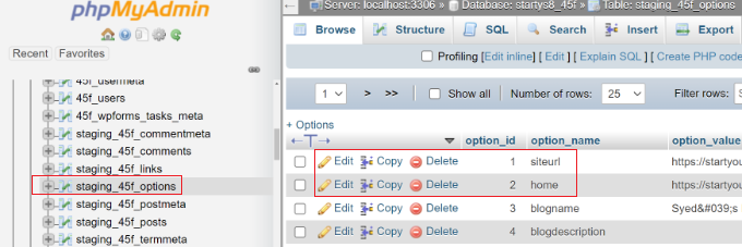 Locate the wp_options Table